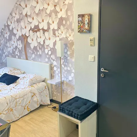 Apartment Reve Dore Equipe, Wifi, Unique Lourdes