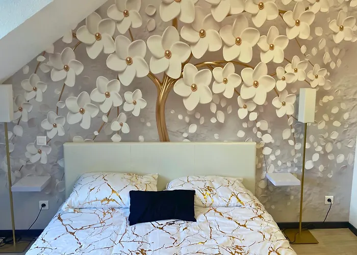 Reve Dore Equipe, Wifi, Unique Appartement Lourdes