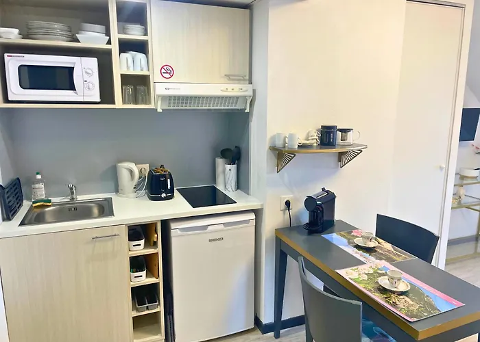 Appartement Reve Dore Equipe, Wifi, Unique Lourdes