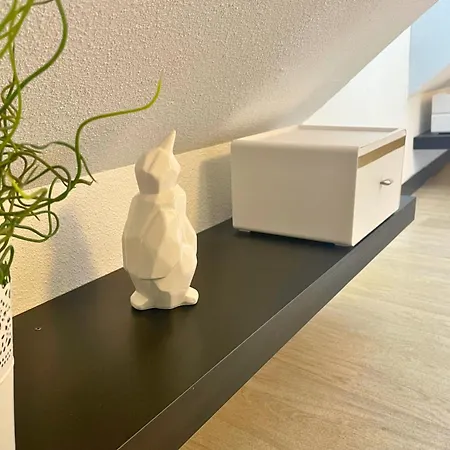 Reve Dore Equipe, Wifi, Unique Λούρδη