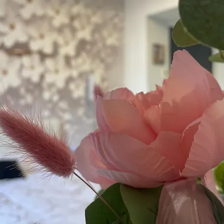 Reve Dore Equipe, Wifi, Unique Διαμέρισμα Λούρδη