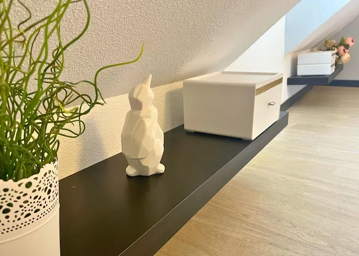 Reve Dore Equipe, Wifi, Unique Lurdy