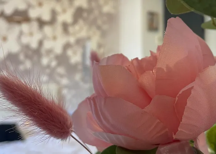 [rêve Doré] équipé, Wifi, Unique Appartamento Lourdes